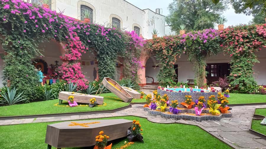 Coyoacán: History and Life of a Magical Neighborhood - Who this tour is best for (and who might prefer something else)