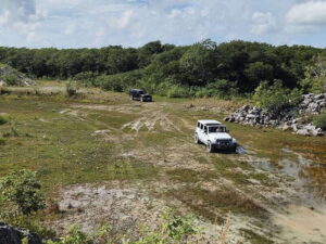 Cozumel: 5-Hour Private Caves and Ruins Tour with Lunch - Pickup in Cozumel: pier meeting points and what to look for