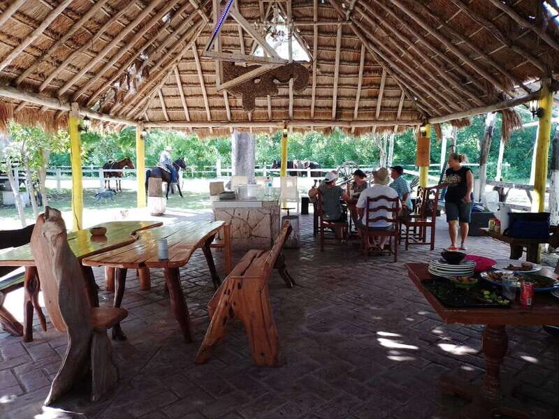 Cozumel: 5-Hour Private Caves and Ruins Tour with Lunch - Rancho Buenavista: caves, Lost Mayan City paths, and wildlife in the swamp