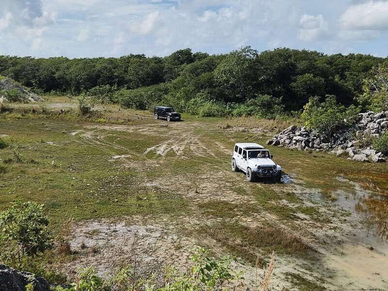 Cozumel: 5-Hour Private Caves and Ruins Tour with Lunch - Pickup in Cozumel: pier meeting points and what to look for