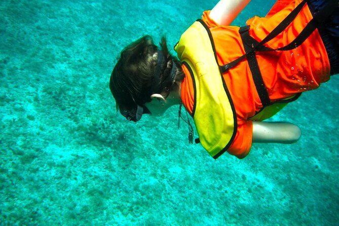 Cozumel Buggy Tour: Snorkeling , Otoch Mayan Experience & Lunch - Quick checklist: what to bring and who this tour fits best