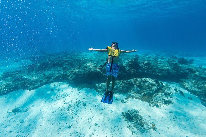 Cozumel Catamaran Snorkeling Tour & lunch® - Cozumel catamaran snorkeling that gives you three water moods