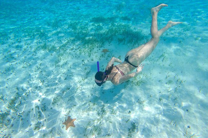Cozumel Catamaran Snorkeling Tour & lunch® - Lunch at Playa Mia Grand Beach Park: buffet plus time to enjoy the beach
