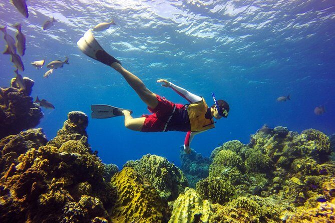 Cozumel Catamaran Snorkeling Tour & Lunch (Hotel Pick Up) - Playa Mia Grand Beach and Water Park: the part that feels like vacation