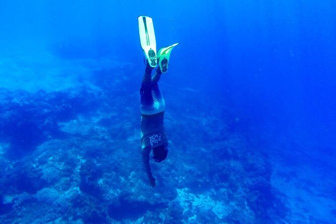 Cozumel Catamaran Snorkeling Tour & Lunch (Hotel Pick Up) - Timing reality: where the day can feel rushed