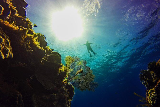 Cozumel Catamaran Snorkeling Tour & Lunch (Hotel Pick Up) - What to bring (and the sunscreen rule that changes everything)