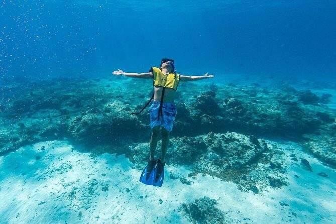 Cozumel Catamaran Snorkeling Tour & Lunch (Hotel Pick Up) - El Cielo and the underwater cave angle (why you should manage expectations)