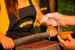 Cozumel: Chocolate Workshop at The Mayan Cacao Company - The setting at The Mayan Cacao Company
