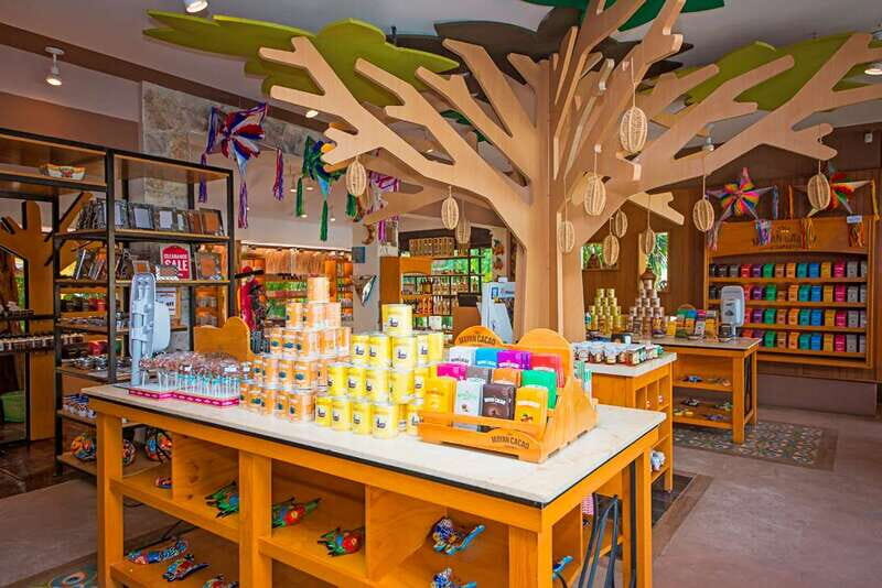 Cozumel: Chocolate Workshop at The Mayan Cacao Company - Who this chocolate workshop suits best