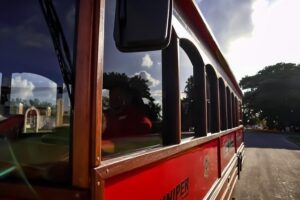 Cozumel City Tour By Trolley - Getting to the meeting point: the part that can make or break it