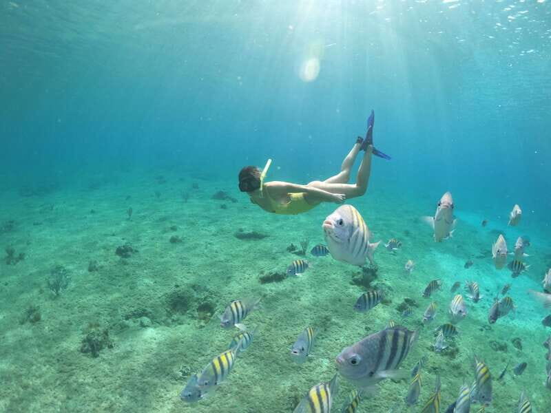 Cozumel: Clear Boat Ride and Snorkeling Trip - Transparent Boat Views: Seeing Cozumel Through the Clear Hull