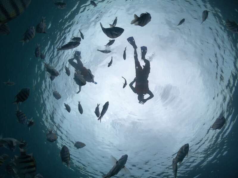 Cozumel: Clear Boat Ride and Snorkeling Trip - Guide Energy in English and Spanish: Emmanuel and Engle’s Impact