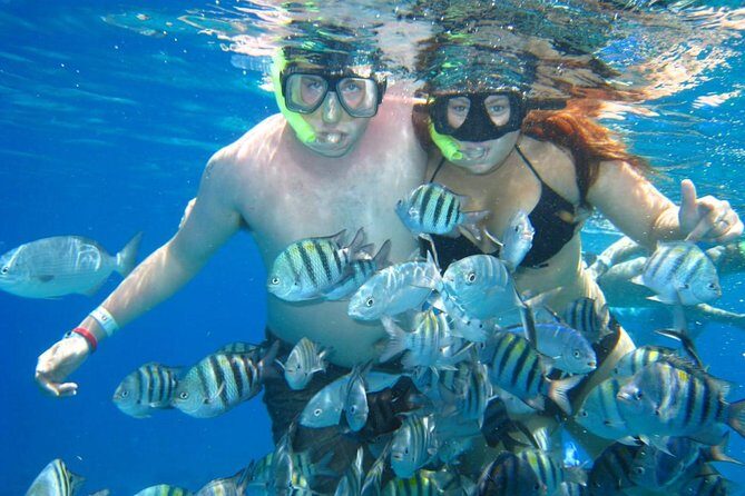 Cozumel Coral Reef Snorkeling by Glass Bottom Boat with Guide - Who This Tour Suits Best (and When You Might Want Something Different)