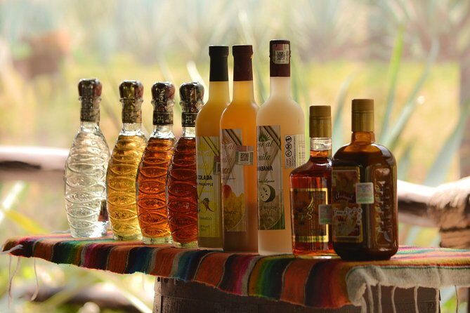 Cozumel Cultural Jeep Tour with Mayan Village and Mexican Lunch - Stop 3: Pueblo del Maiz Mayan village with chocolate-making and dance