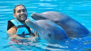Cozumel: Dolphin Royal Connection and Manatee Interaction - Royal Swim in 40 minutes: what you’re really doing