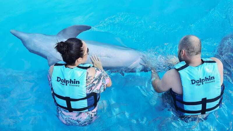 Cozumel: Dolphin Royal Connection and Manatee Interaction - Chankanaab Park time after your swim