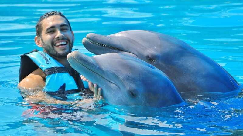 Cozumel: Dolphin Royal Connection and Manatee Interaction - Price and value: is $135 worth it?