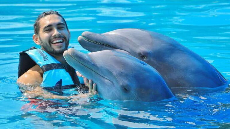 Cozumel: Dolphin Royal Connection and Manatee Interaction - Royal Swim in 40 minutes: what you’re really doing