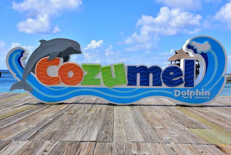 Cozumel: Dolphin Royal Connection and Manatee Interaction - Who this suits best (and who should skip it)