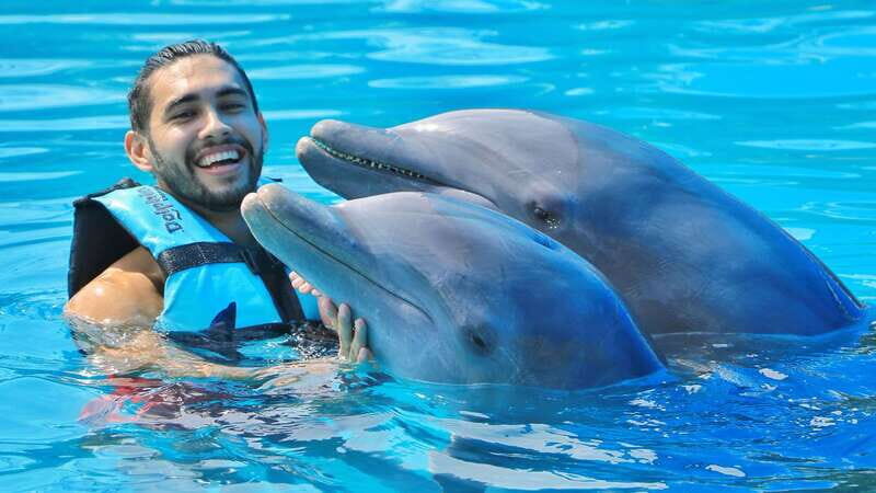 Cozumel: Dolphin Royal Connection and Manatee Interaction - Royal Swim in 40 minutes: what you’re really doing