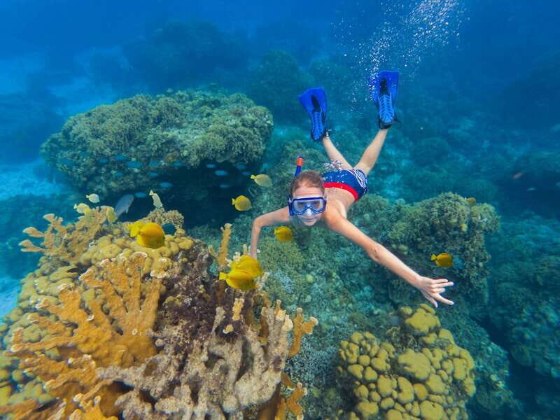 Cozumel: El Cielo, Palancar Reef, and Beach Party with Food - Key points to know before you go