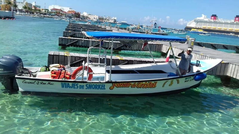 Cozumel: El Cielo & Palancar Snorkel with Open Bar & Ceviche - Key Takeaways Before You Go