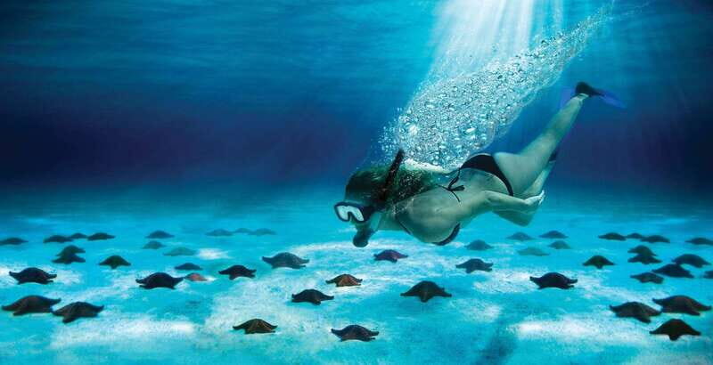 Cozumel: El Cielo & Palancar Snorkel with Open Bar & Ceviche - El Cielo and Palancar Reef: the best kind of Cozumel combo