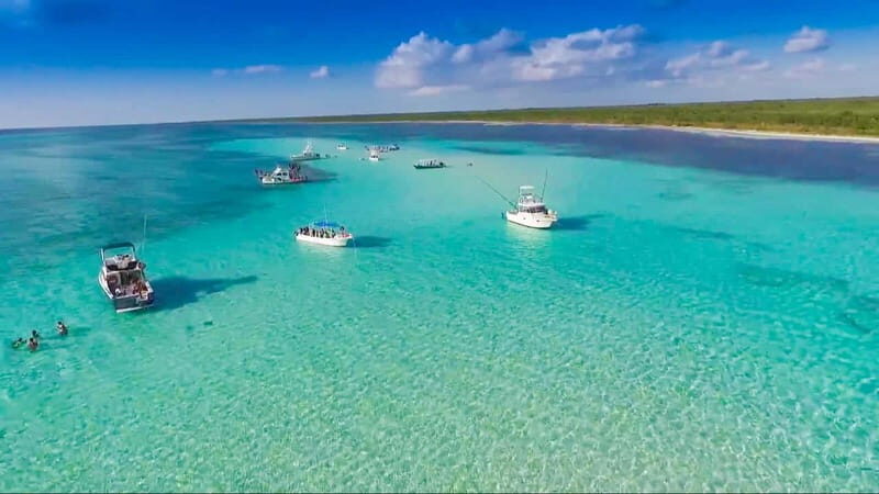 Cozumel: El Cielo & Palancar Snorkel with Open Bar & Ceviche - Meeting point and timing: get there early and you’ll feel calm