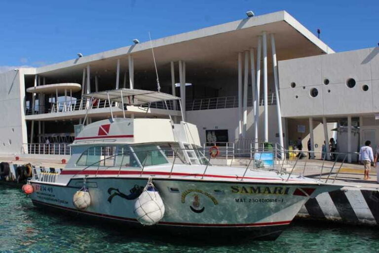 Cozumel: El Cielo & Palancar Snorkel with Open Bar & Ceviche - Price and what you actually get for about $72