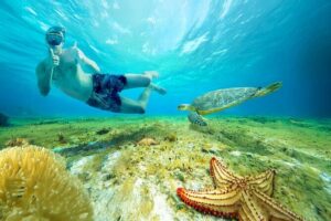Cozumel: El Cielo Snorkel, KUZÁ Beach Day Pass, Buffet & Open Bar - El Cielo Snorkeling: The Reef Route and What to Expect Underwater