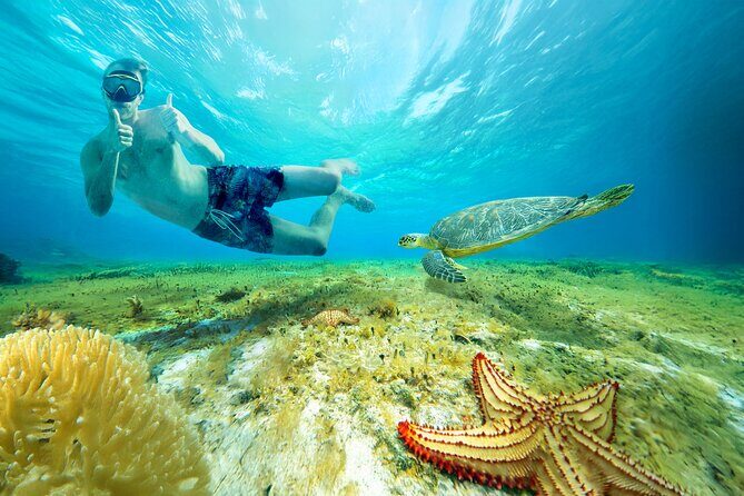 Cozumel: El Cielo Snorkel, KUZÁ Beach Day Pass, Buffet & Open Bar - El Cielo Snorkeling: The Reef Route and What to Expect Underwater