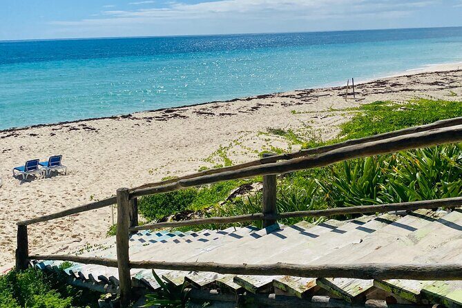 Cozumel Jeep Adventure Natural Cenote & Mayan Experience OTOCH - Lunch, drinks, and where the money quietly shifts