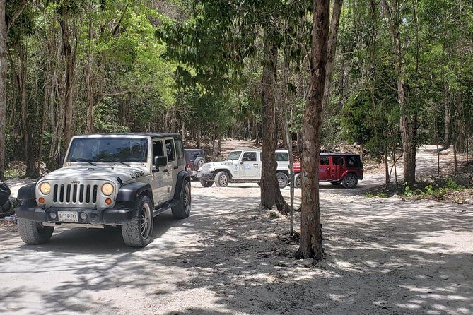 Cozumel Jeep Adventure to Jade Caverns with Lunch and Snorkel - Why this Cozumel Jeep day feels different from a bus tour