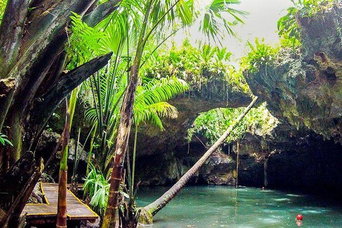 Cozumel Jeep Adventure to Jade Caverns with Lunch and Snorkel - Tortugas beach club snorkeling: gear included, and the lunch matters
