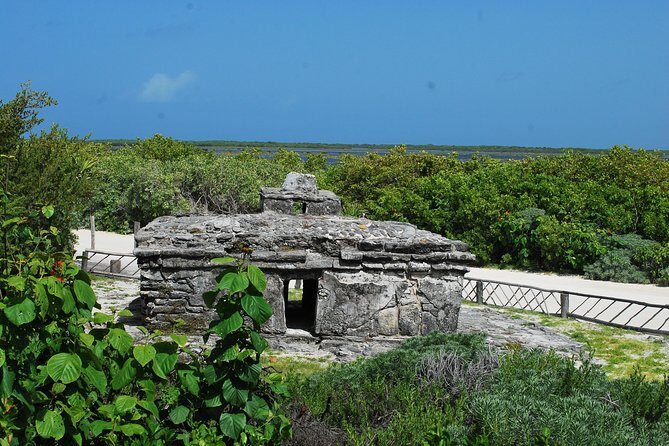 Cozumel Jeep and Snorkel Adventure with Lunch at Punta Sur Park - Lunch at a beach resort: what you’ll likely eat