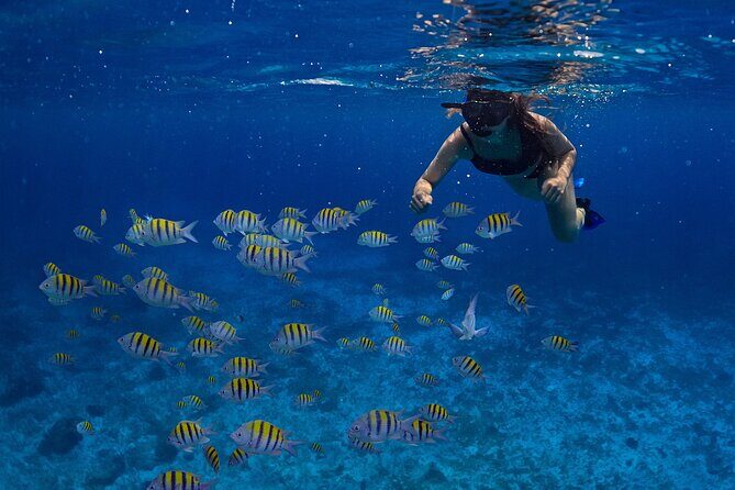 Cozumel Luxury Sailing & Snorkeling with Lunch and Open Bar Onboard - How this Cozumel sailing day actually runs