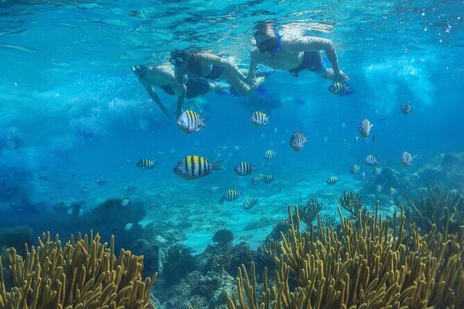 Cozumel Luxury Sailing & Snorkeling with Lunch and Open Bar Onboard - Free time on Cozumel: shopping and how to use it