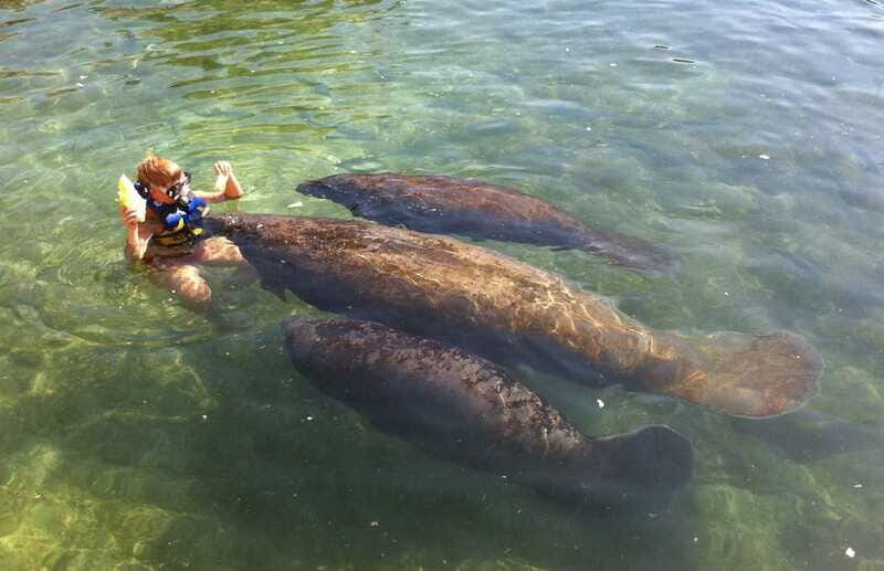 Cozumel: Manatee Encounter, Chankanaab Admission and Buffet - Price and Value of the $79 Ticket: What You’re Actually Buying