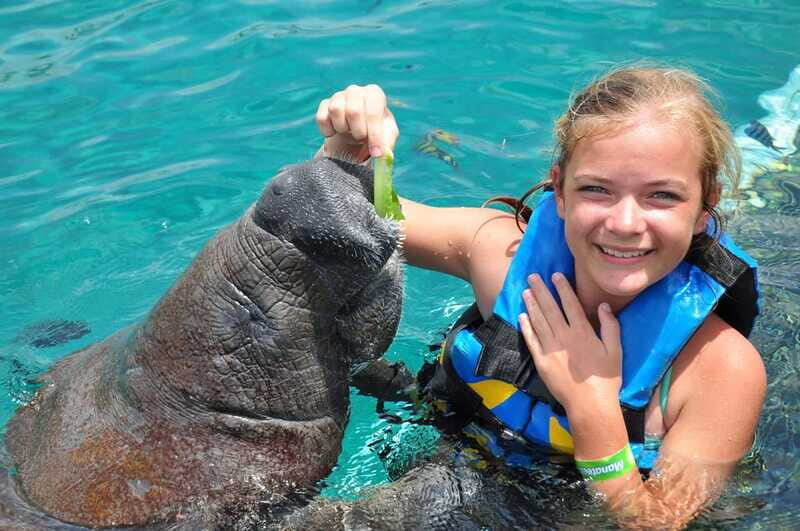 Cozumel: Manatee Encounter, Chankanaab Admission and Buffet - Who Should Book This Cozumel Manatee + Chankanaab Combo