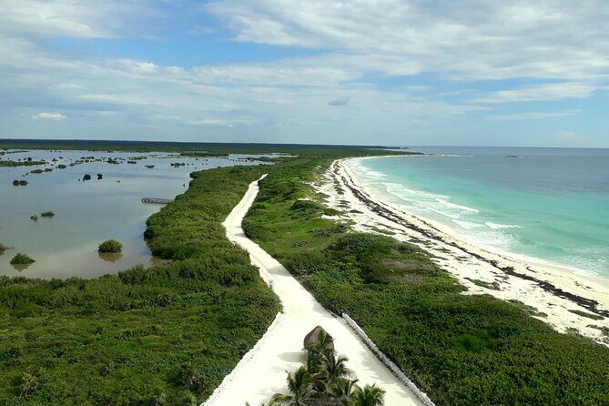 Cozumel National Park and Beach Break: Private Tour - Punta Sur Eco Beach Park: crocodiles, lighthouse views, and your main relax window