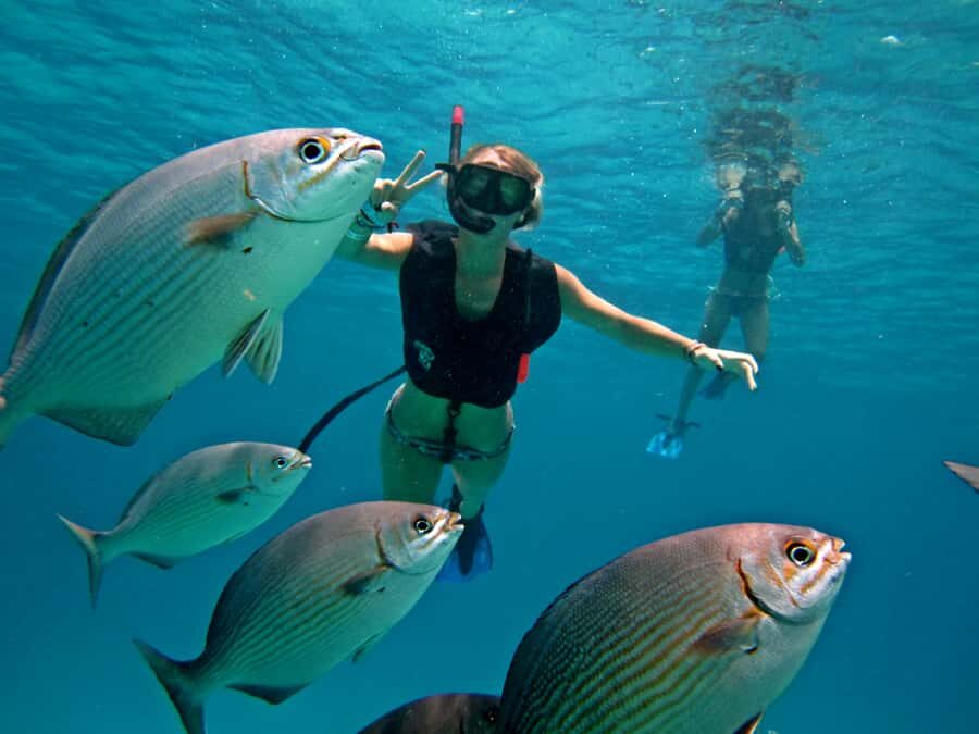 Cozumel: Official Chankanaab Park and Snorkel with Lunch - Sea lion shows: included entertainment with real timing value
