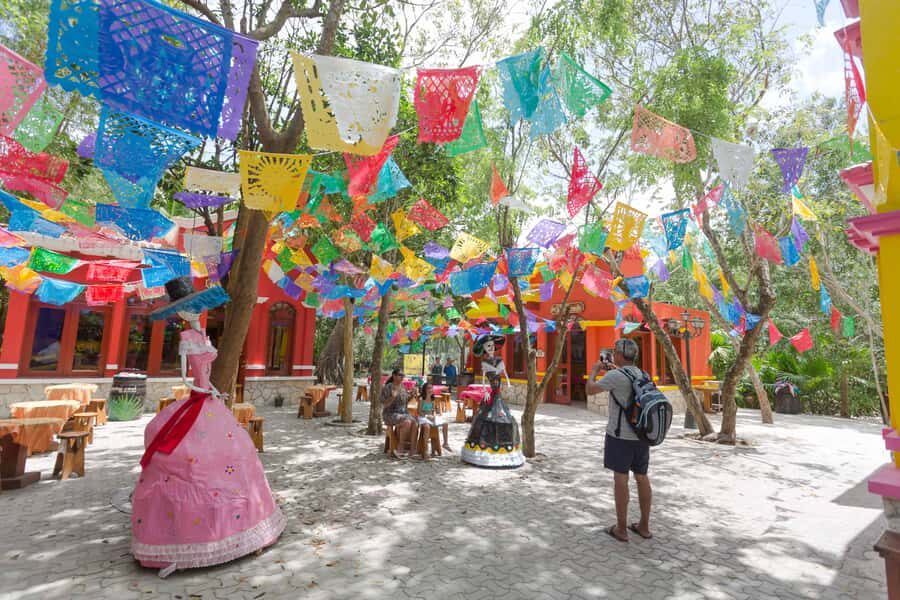 Cozumel: Official Chankanaab Park and Snorkeling with Lunch - Price and logistics: what you’re really paying for