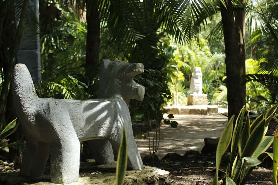 Cozumel: Official Chankanaab Park and Snorkeling with Lunch - Should you book this Chankanaab package?