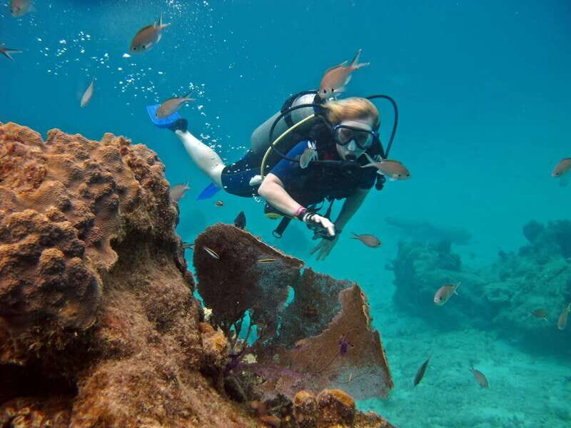Cozumel: One Tank Scuba Dive and Full Chankanaab Park Access - Key things that make this tour worth your time