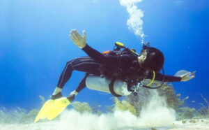 Cozumel: One Tank Scuba Dive and Full Chankanaab Park Access - Check-in at Chankanaab: what to do when you arrive