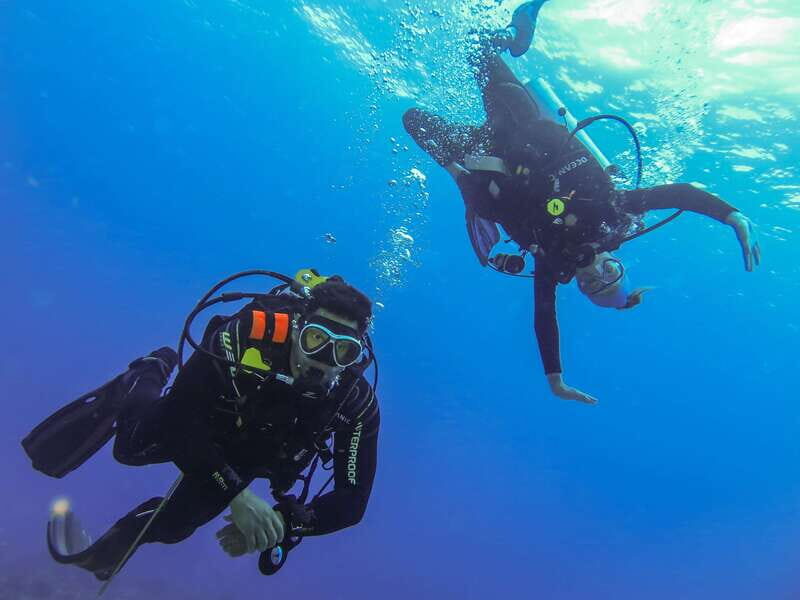 Cozumel: One Tank Scuba Dive and Full Chankanaab Park Access - The park part isn’t an afterthought: Chankanaab after your tank