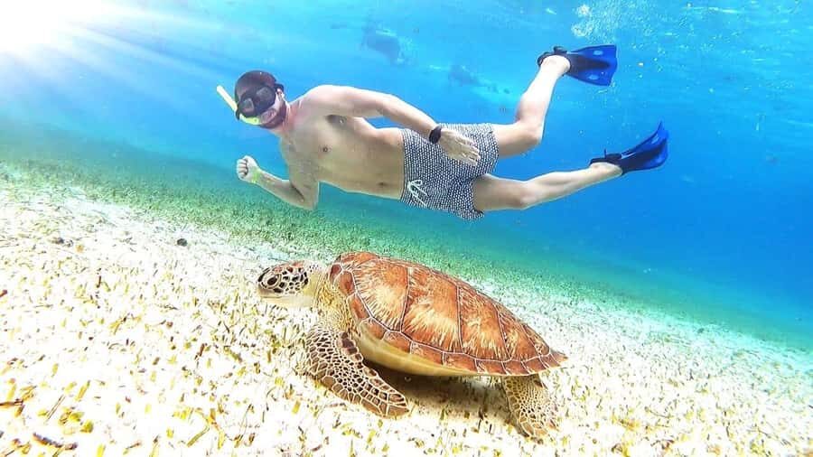 Cozumel: Palancar, Columbia and El Cielo Reefs Snorkel Tour - Key highlights before you go