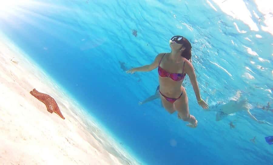 Cozumel: Palancar, Columbia and El Cielo Reefs Snorkel Tour - Who this tour fits best