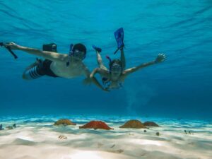 Cozumel: Palancar, Columbia and El Cielo Reefs Snorkel Tour - Palancar and Columbia reefs: where the color and sea life show up
