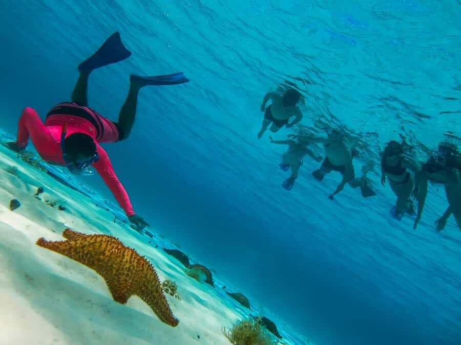 Cozumel: Palancar, Columbia and El Cielo Reefs Snorkel Tour - El Cielo and Playa el Cielito: the hour that slows the pace